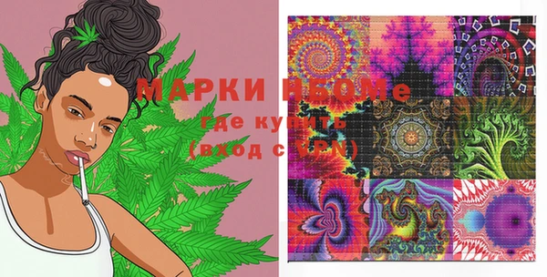ГАЛЛЮЦИНОГЕННЫЕ ГРИБЫ Алексеевка