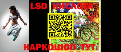 МДПВ Гусев
