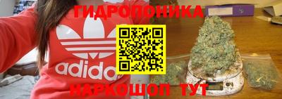 МДПВ Гусев