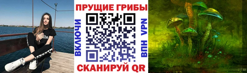 Галлюциногенные грибы MAGIC MUSHROOMS  Чайковский 