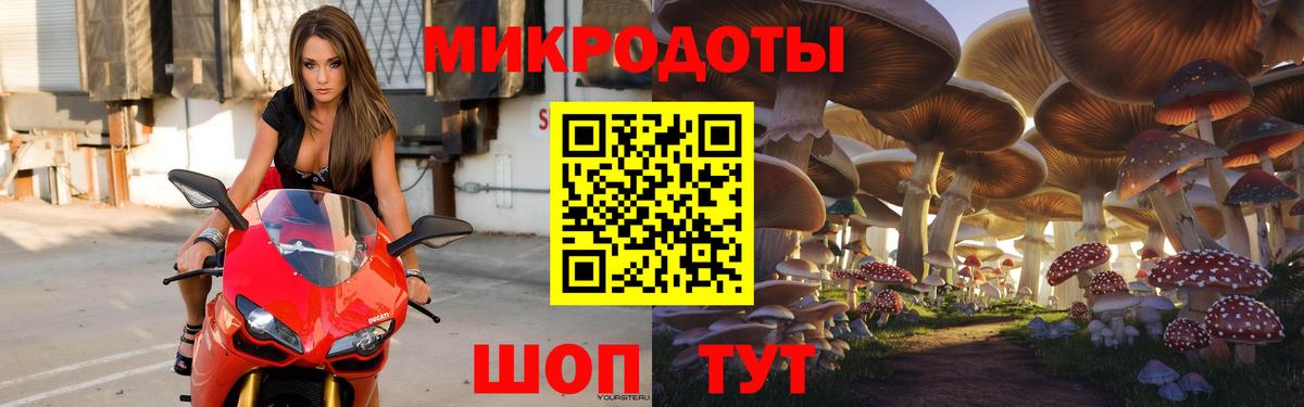 Чайковский  Псилоцибиновые грибы MAGIC MUSHROOMS  Вход с VPN 